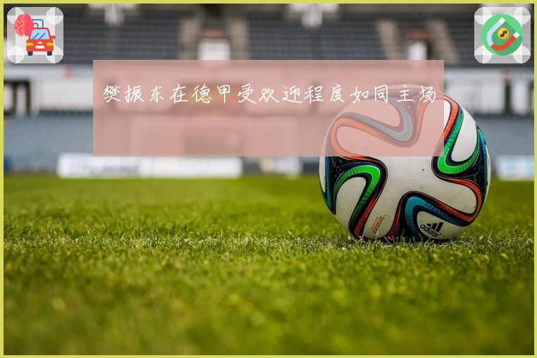 樊振东在德甲受欢迎程度如同主场