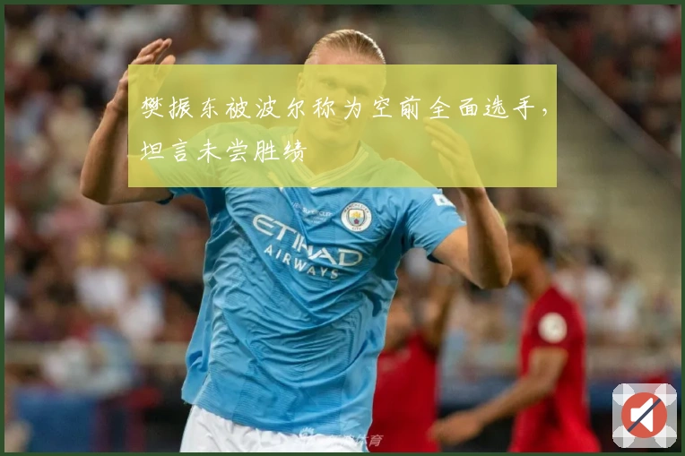 樊振东被波尔称为空前全面选手，坦言未尝胜绩